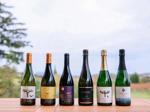 キャメルファーム