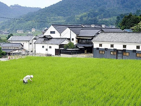 竹林(ちくりん)・賀茂緑(かもみどり)│丸本酒造
