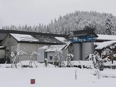 根知男山(ねちおとこやま)│渡辺酒造店
