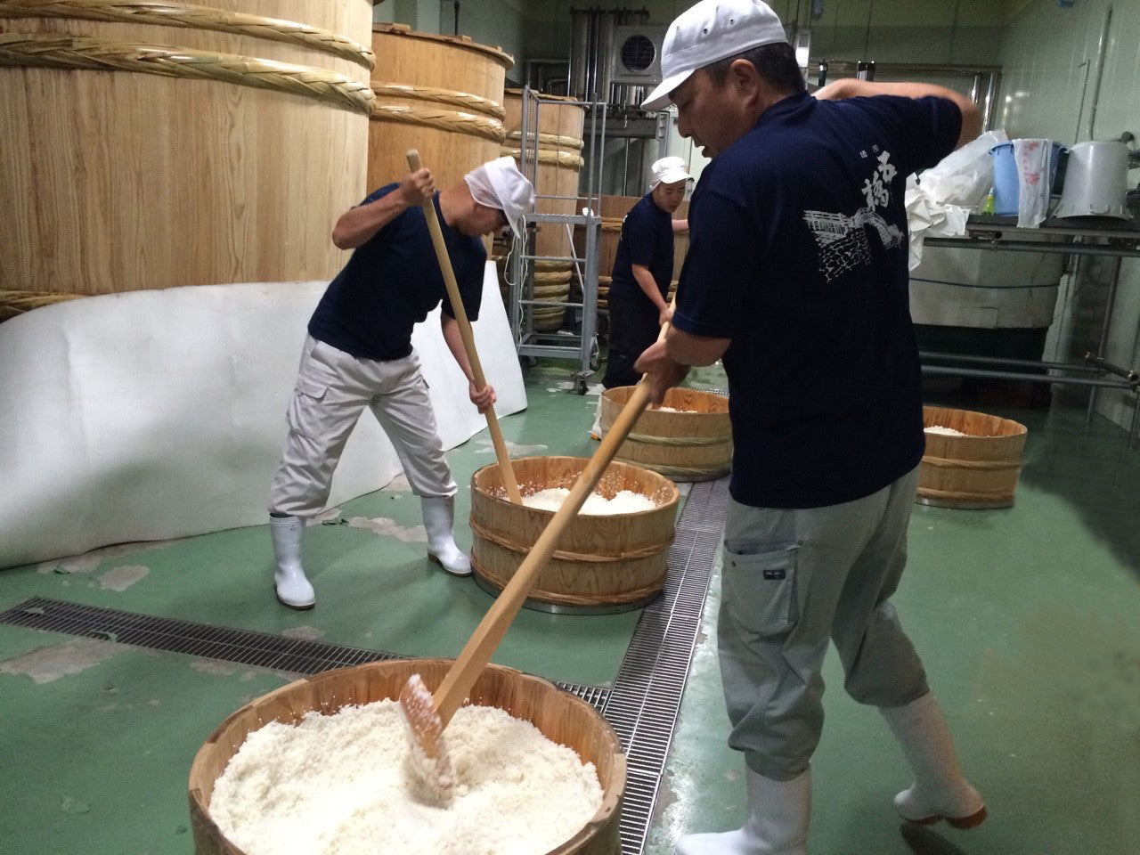 五橋(ごきょう)│酒井酒造 | 日本酒・ワイン・焼酎 |IMADEYA ONLINE STORE