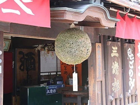 みむろ杉（みむろすぎ）│今西酒造