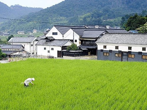 竹林（ちくりん）・賀茂緑（かもみどり）│丸本酒造 | IMADEYA