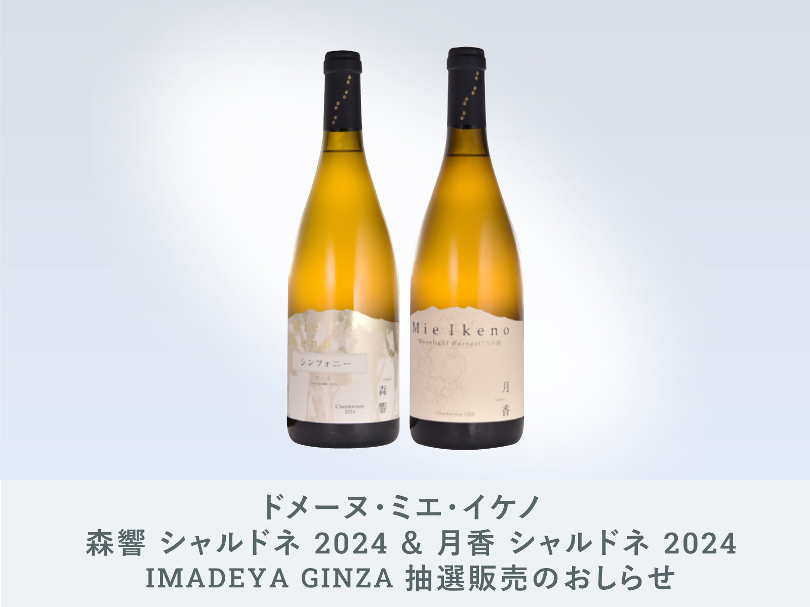 お申込みは本日11月30日23:59まで！【GINZA】ドメーヌ・ミエ・イケノ