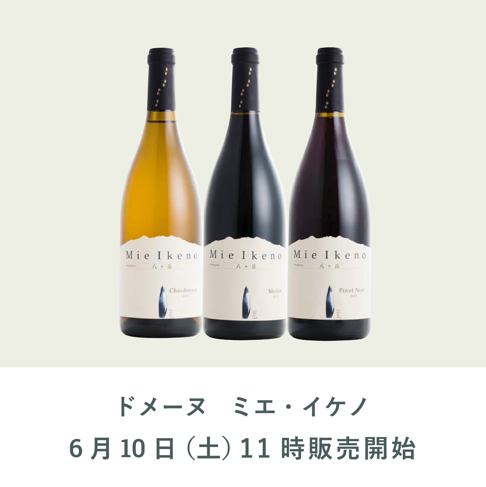 日本ワインMie Ikeno ミエイケノ　Merlot 2019 2本セット