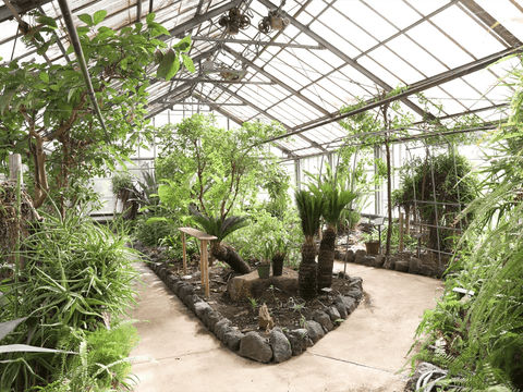 mitosaya薬草園蒸留所