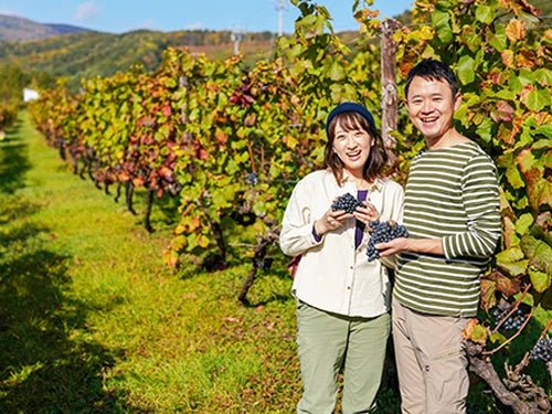 OSAワイナリー | IMADEYA