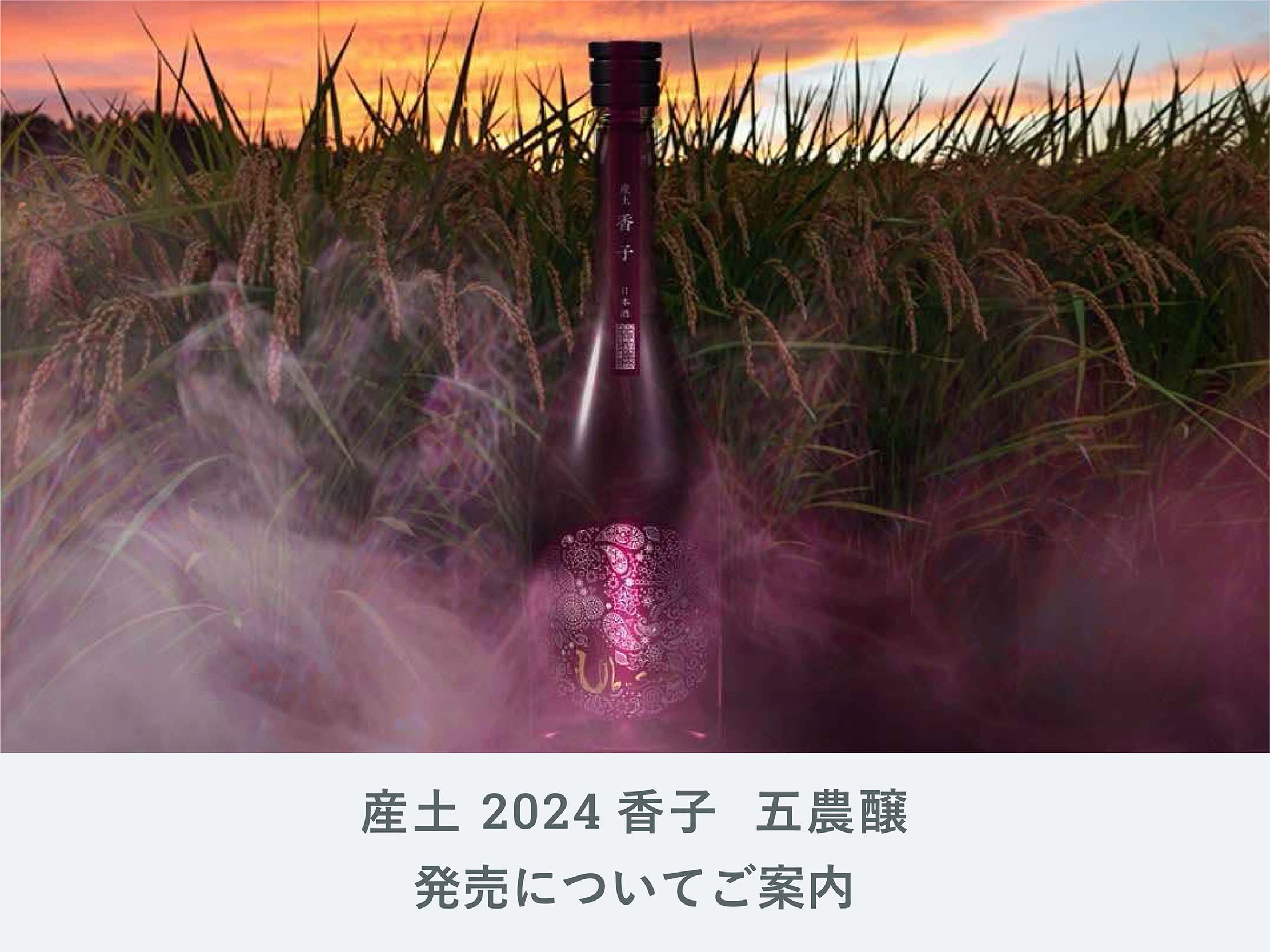 産土 2024香子| 五農醸」発売について | IMADEYA