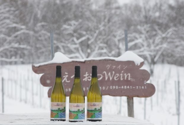 【北海道産ワイン】えべおつWein 2本セット えべおつWein ファーストヴィンテージ 2本セット | 成城石井.com