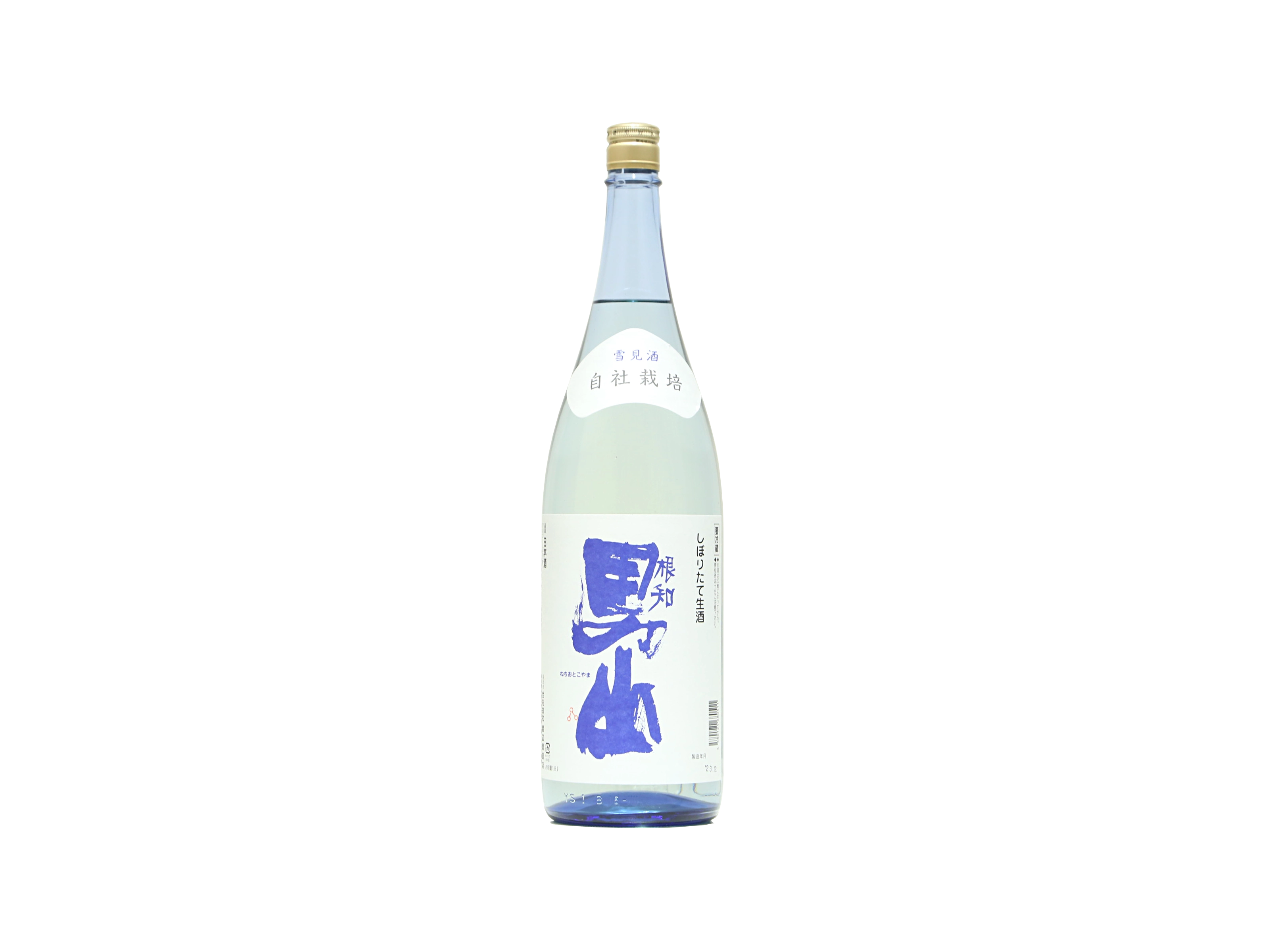 あしたばの根っこ　酒漬け用　4本 ozekiset_1_02.jpg