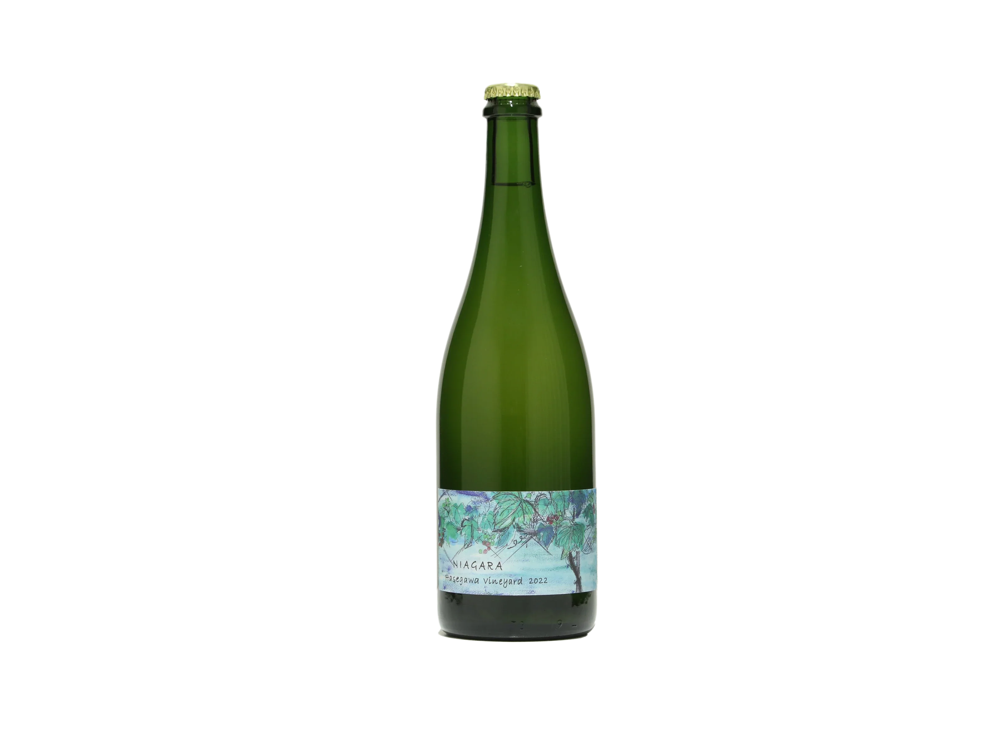 さっぽろ藤野ワイナリー ナイアガラ Hasegawa vineyard 2022 さっぽろ藤野ワイナリー ナイアガラ Hasegawa vineyard 2022
