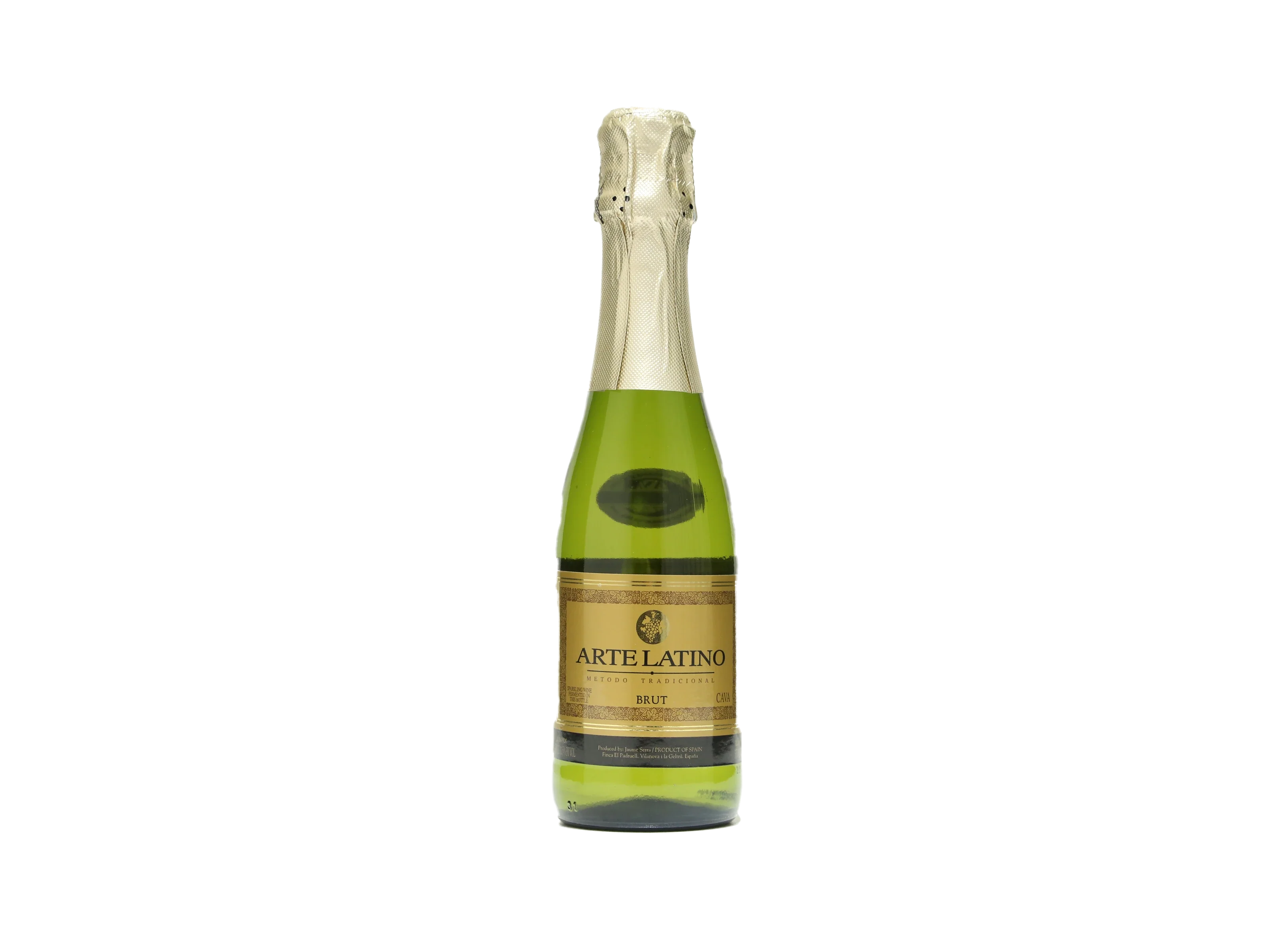 エクアドル産 ラティペニステナガスジコガネ　38mm エクアドル産 ラティペニステナガスジコガネ38mm